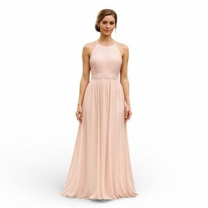 NWT Reverie Long Pleated High Neck Mesh Chiffon Pale Pink Formal Dress Size 8